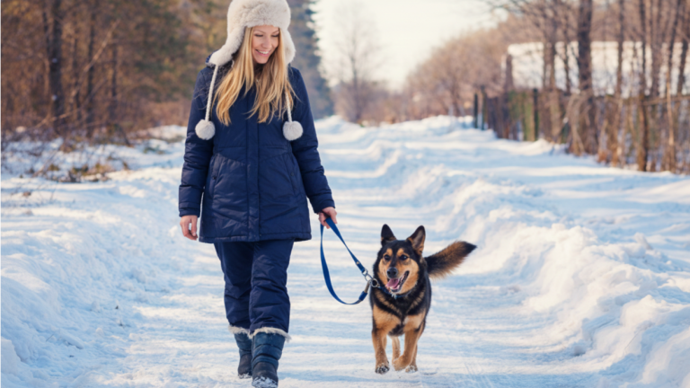 AI: Senjata Rahasia Atasi Galau Musim Dingin!