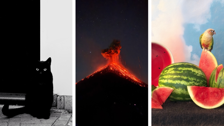 iPhone 15 Pro Sabet Juara Dunia Fotografi Ini Buktinya